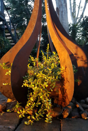 Teardrop Sculpture - Iron Bark Metal Design